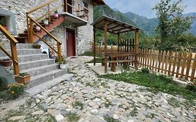 Guest House “ Center Theth “